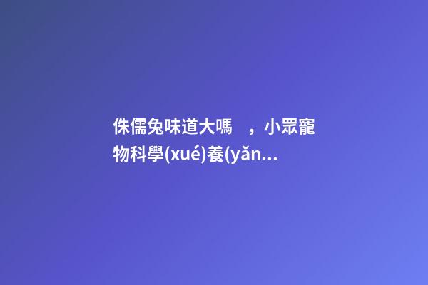 侏儒兔味道大嗎，小眾寵物科學(xué)養(yǎng)兔樂趣不比貓狗少-第1張-觀點-玄機(jī)派